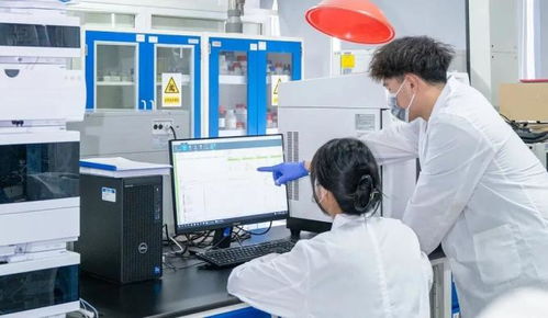 決勝收官 向新而行 主動服務沿滬寧產業創新帶建設，推動普陀科創動能澎湃聚勢